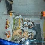 Vraj-Yatra-2014- (1243)